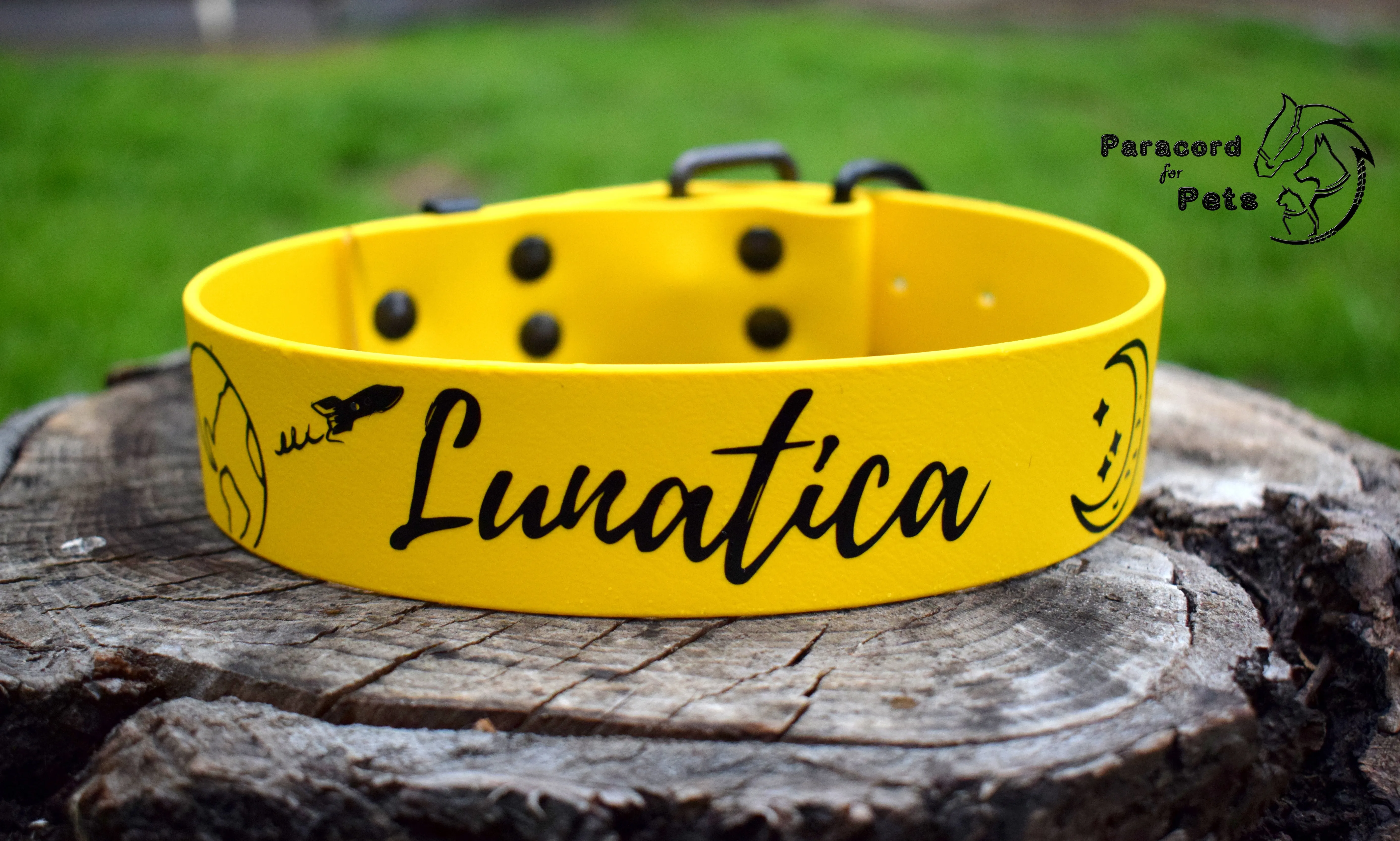 Big Dog Bio Collar