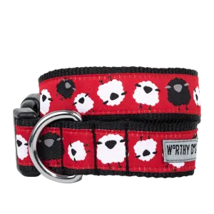 Collar | Counting Sheep