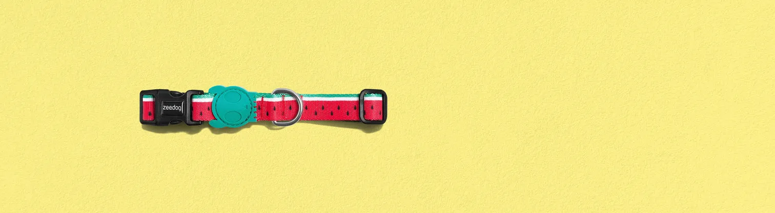 COLLAR - LOLA