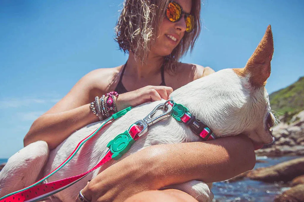 COLLAR - LOLA