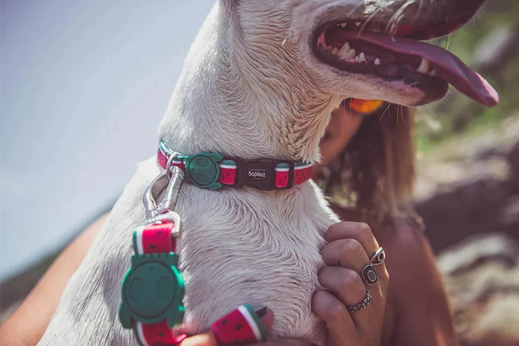 COLLAR - LOLA