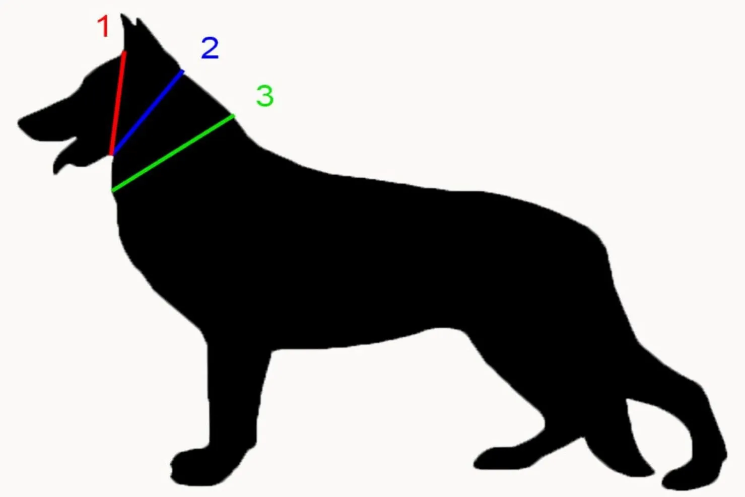 English Bridle Leather Slip Collars