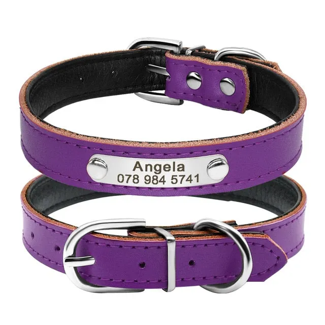 Personalized Leather Adjustable Cat Collar