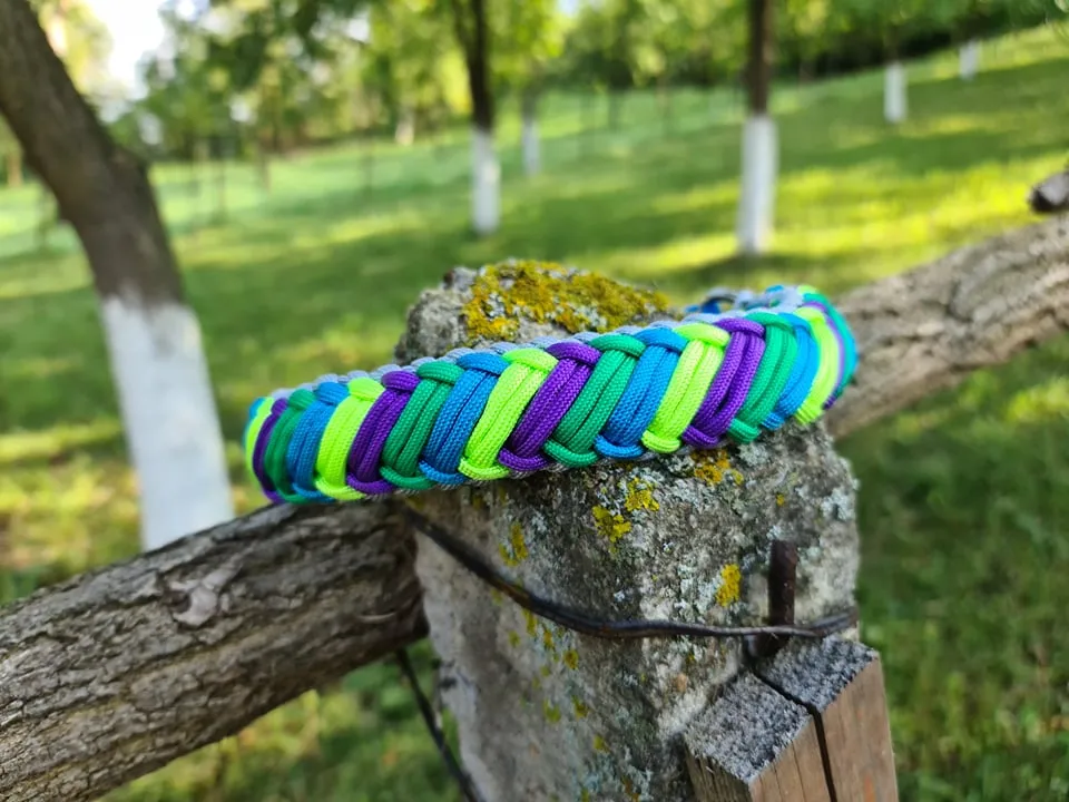 Primavera braid Dog collar
