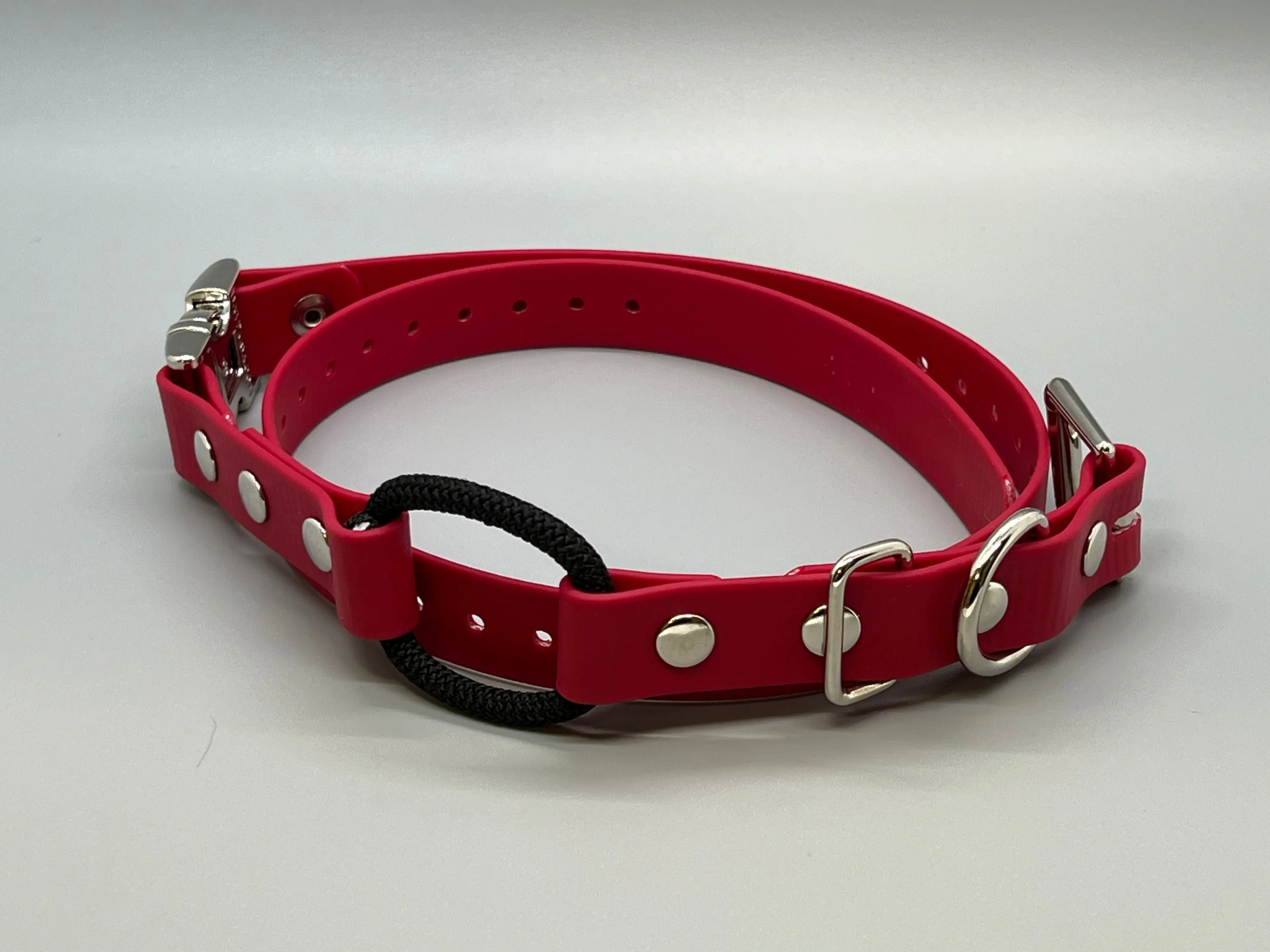 Quick Snap Bungee Collar 3/4"