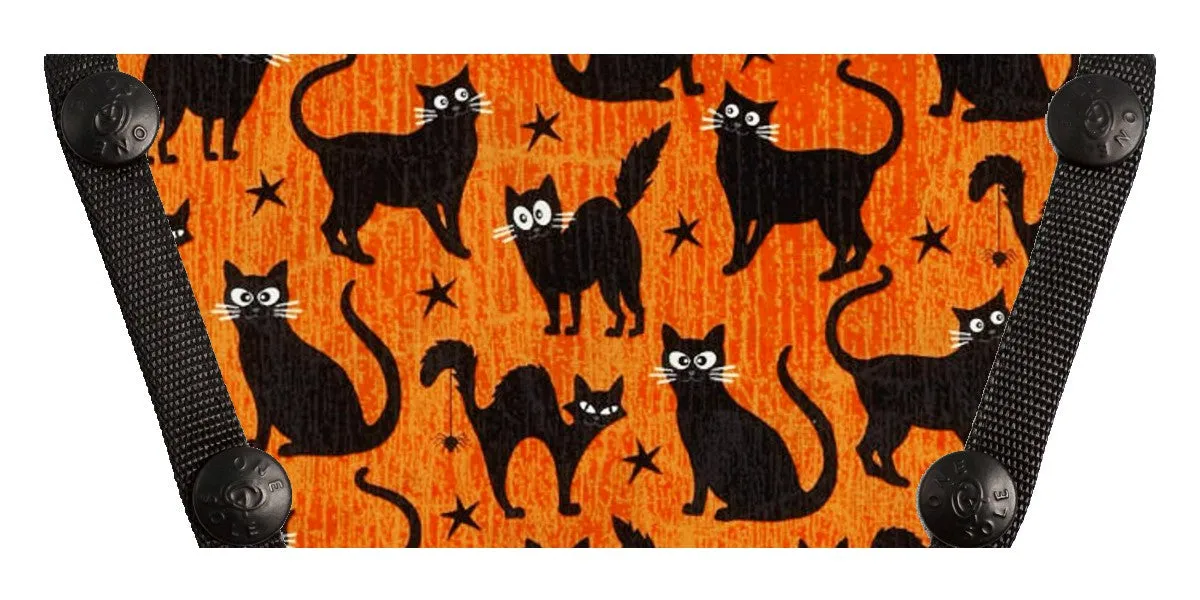 Spooky Cats