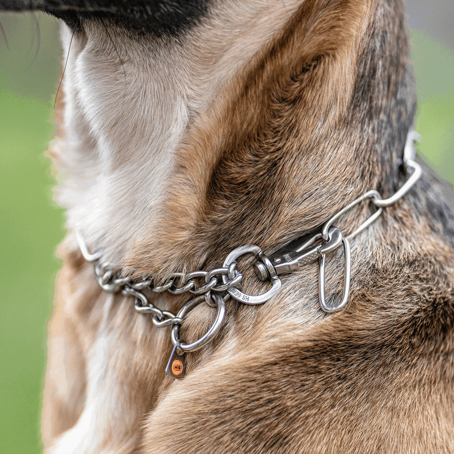 Sprenger Fursaver, Stainless Steel, Martingale, Bolt Clip, Long Link, 4mm
